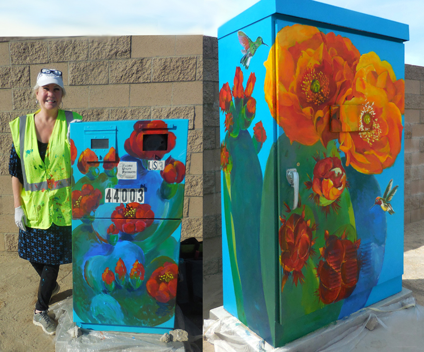 AIPP signal boxes - City of Palm Desert, March 2018