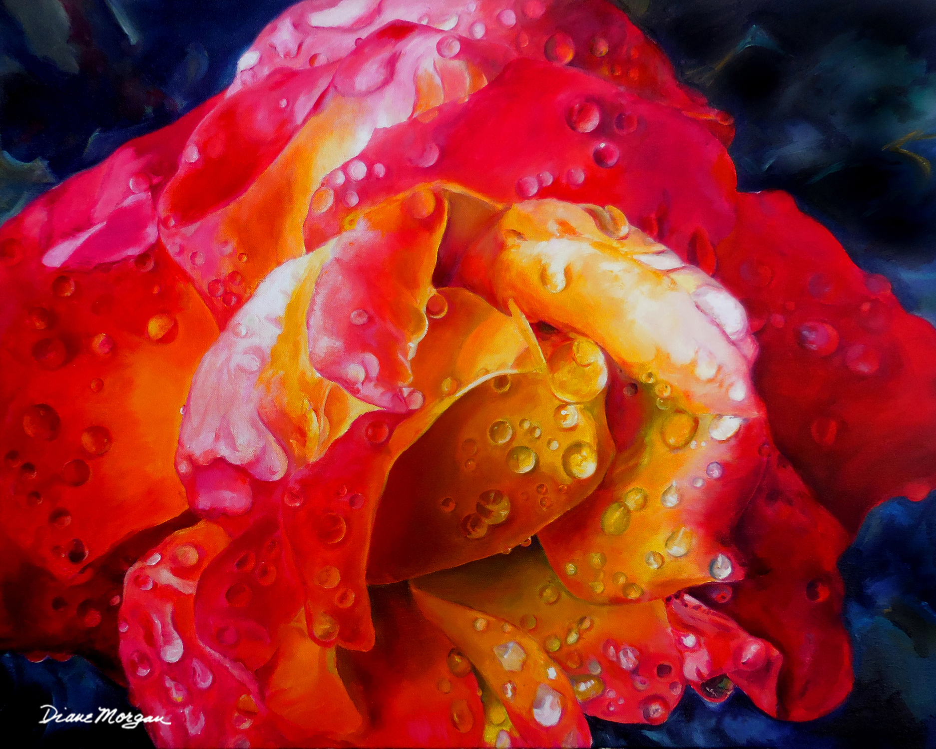 Morgan 14 Rainy Day Rose - oil on canvas 24 x 30